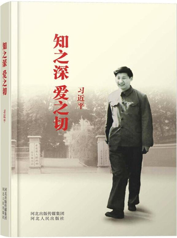可改走栏目列表继续查找