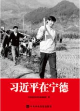 便于结合栏目动态与后续阅读
